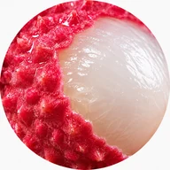 Saveur Lychee — stick électrolyte SPLASH